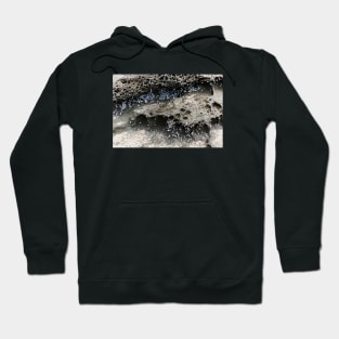 Tiny Shells On Volcanic Rock Hoodie